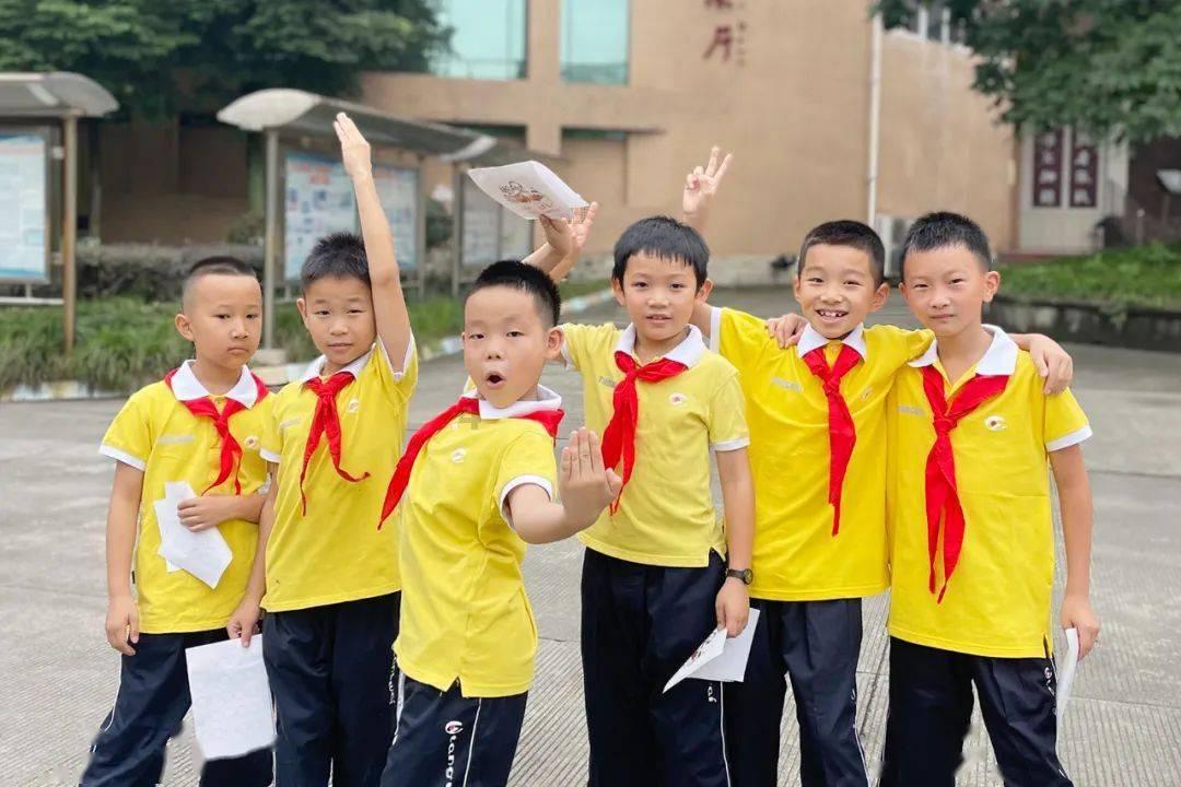 探寻知识星球平台,发现